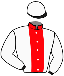 Casaque n°4