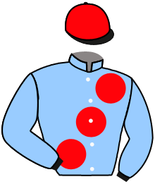 Casaque n°11