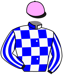 Casaque n°6