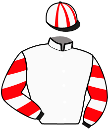 Casaque n°10