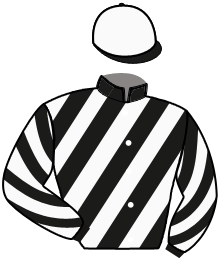 Casaque n°11