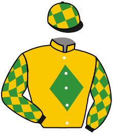 Casaque n°4