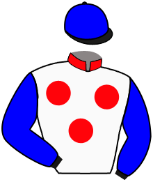 Casaque n°10