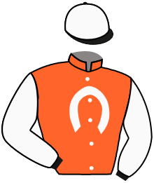 Casaque n°2