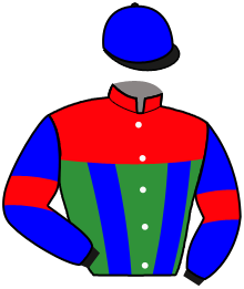 Casaque n°8