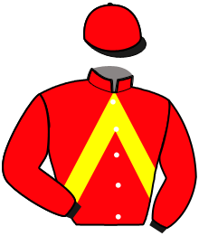 Casaque n°5