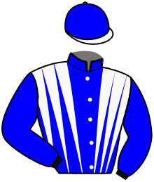 Casaque n°14