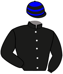 Casaque n°6