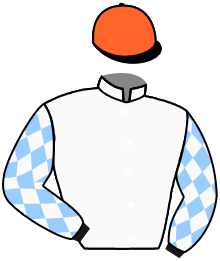 Casaque n°10