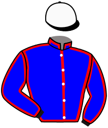 Casaque n°11