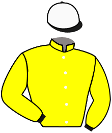 Casaque n°2