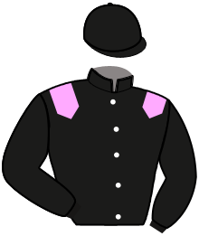 Casaque n°4