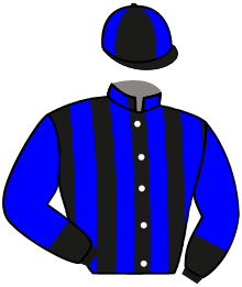 Casaque n°3