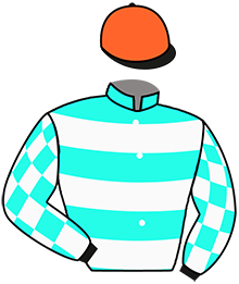 Casaque n°2