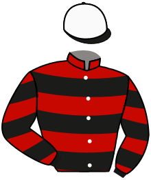 Casaque n°1