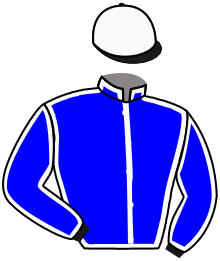 Casaque n°2