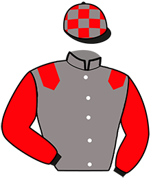 Casaque n°11
