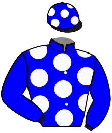 Casaque n°2