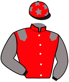 Casaque n°2