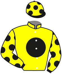 Casaque n°2