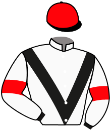 Casaque n°14