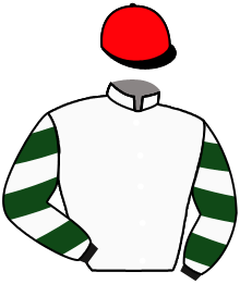Casaque n°15