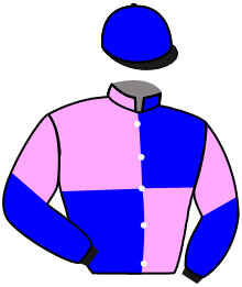 Casaque n°17