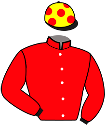Casaque n°6