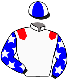 Casaque n°1