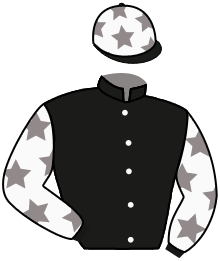 Casaque n°10