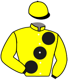 Casaque n°3