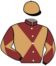 Casaque n°11