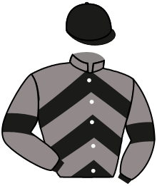 Casaque n°3