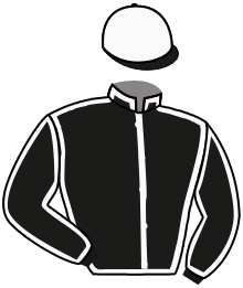 Casaque n°4