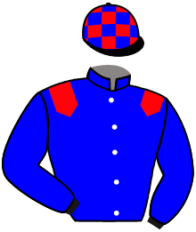 Casaque n°1