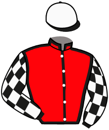 Casaque n°3