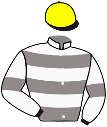 Casaque n°6