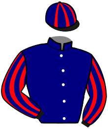 Casaque n°3