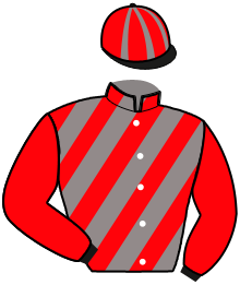 Casaque n°4