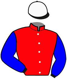 Casaque n°6