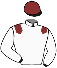 Casaque n°8