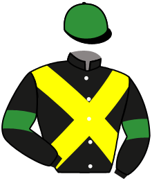 Casaque n°11
