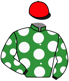 Casaque n°13
