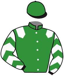Casaque n°2