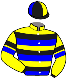 Casaque n°16