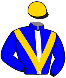 Casaque n°6