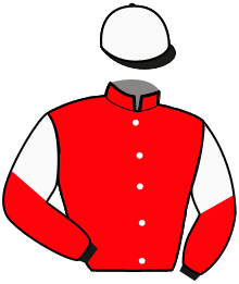 Casaque n°4