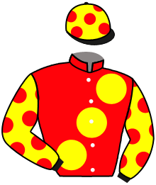 Casaque n°5