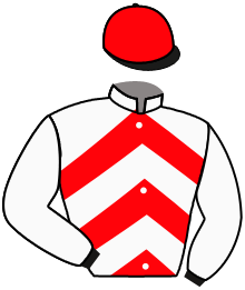 Casaque n°6