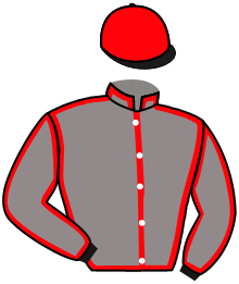Casaque n°7